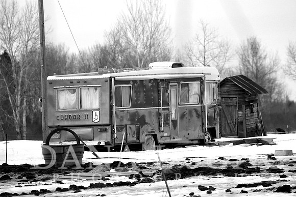 Condor B&W