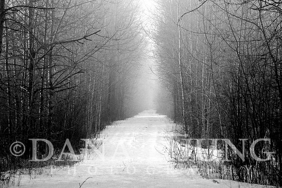 Distance B&W