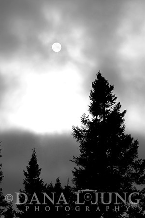 B&W Sunrise
